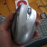 IMG_0571.jpg