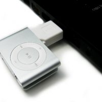 ip_300d.jpg
