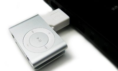 ip_300d.jpg