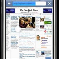 safari-12.jpg
