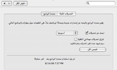 Arabic_Tiger_-_10.jpg