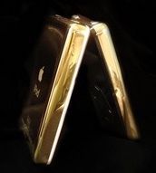 24ct_gold_ipod_video_1_medium.jpg