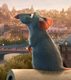 Ratatouille.jpg