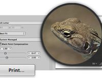 output_print20080206.jpg