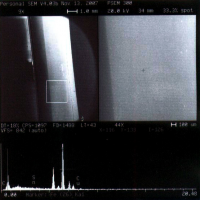 Image_3-16.png