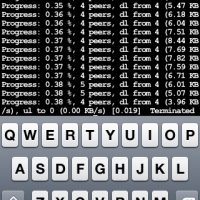 torrent.jpg
