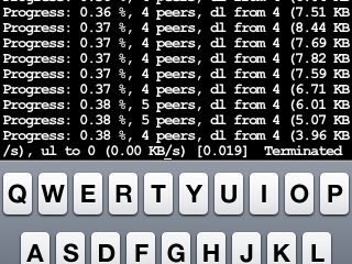 torrent.jpg