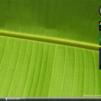 7desktop.jpg