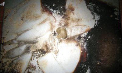 8910_1.jpg
