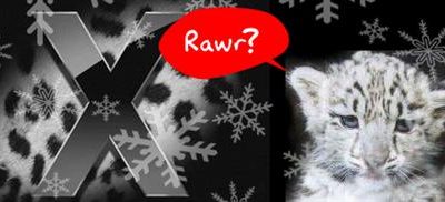 SnowLeopard3_Custom_.jpg