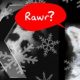 SnowLeopard3_Custom_.jpg