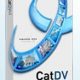 catdv7.jpg