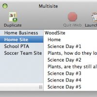 multisiteforiweb-2.3-big2-19.jpg