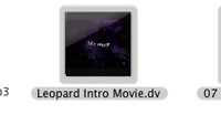 snowleopard-080721-1.jpg