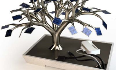 chargertree.jpg
