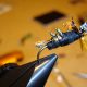 iphone_flyfishing.jpg
