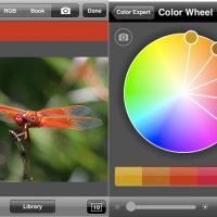 colorexpert2.jpg