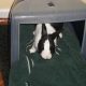miles-ibunny-20081002.jpg