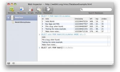 safari_inspector.jpg