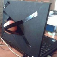 real-apple.jpg