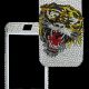 B87_TIGER_IP-FP-2.jpg