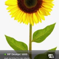 HPiPrintPhoto.jpg