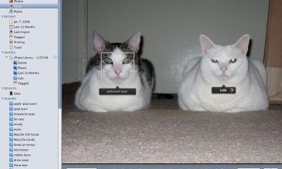 iphotokitty1.jpg