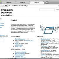 FirstChromePage.jpg
