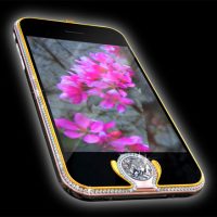 apple_iphone_3g_kings_butto.jpg.jpg