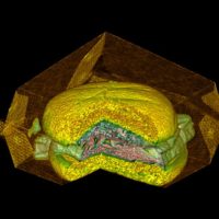 fish-cutaway-med.jpg