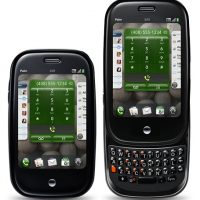 palmpre.jpg