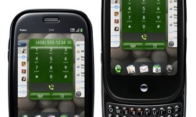 palmpre.jpg