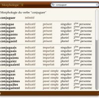 widgetdictionnaire.jpg