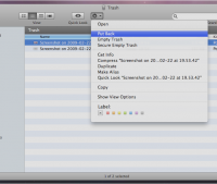 tn_snowleopard_10a261_007.png