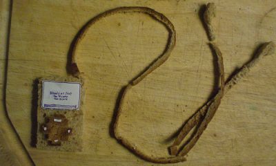 3156590904_08651b2e11.jpg.jpg