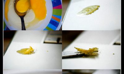 3395237918_e29cd8291f_o.jpg.jpg