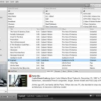songbird-1.1-screenshot-full.jpg.jpg