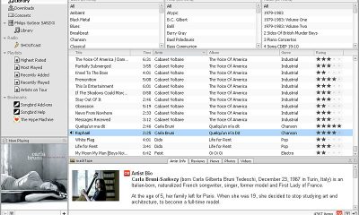 songbird-1.1-screenshot-full.jpg.jpg