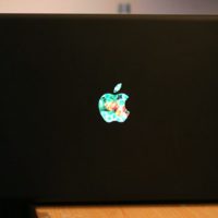picture-1-2.jpg