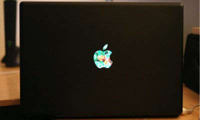 picture-1-2.jpg
