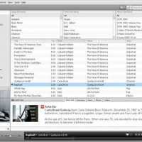 songbird-1.1-screenshot.jpg.jpg