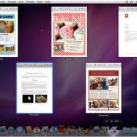 191119-snow_leopard_dock_expose_500.jpg