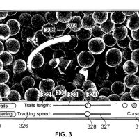 magic-wand-brevet.jpg