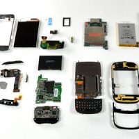 palmpreteardown-2.jpg