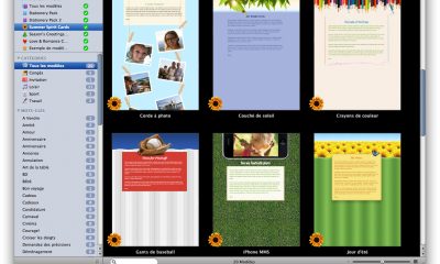 10_SummerSpiritCards_fr_overview.jpg