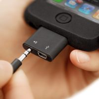 pdlomusb-miniplug-large.jpg