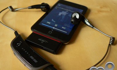P1070978-2.jpg