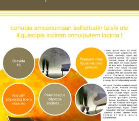 Suspendisse_034.jpg