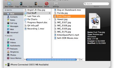 files.jpg