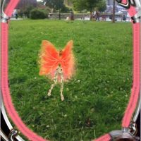 iTunesEcranSnapz001-478.jpg